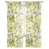 AMZRicher Lemon Sheer Curtains 63 Inch Length 2 Panels Set,