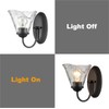 DANSEER Rustic Finish Wall Sconce Vintage Vanity Light with Amber