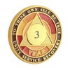 Sobriety AA Chip Sobriety Coin Year Sober Anniversary, Triplate Recovery