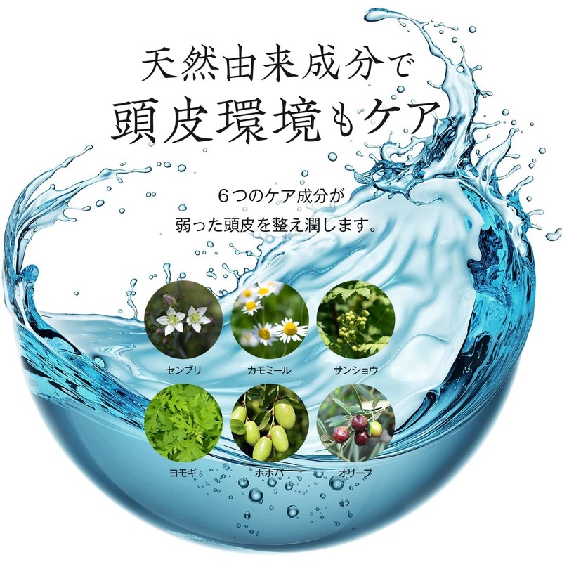 Magical Co., Ltd. Persimmon Sei Series (Mint Scent) (Fresh/Moist) (Refill