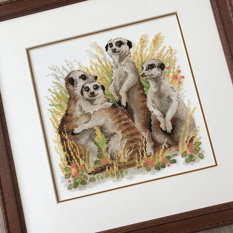 Riolis 1761 - Meerkats - Cross Stitch Kit 9¾" x