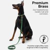 Scout Supply Classic Leather Dog Leash | Strong Heavy Duty
