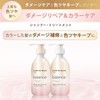 LUX Luminique Balance Damage Repair & Color Care Shampoo Pump,