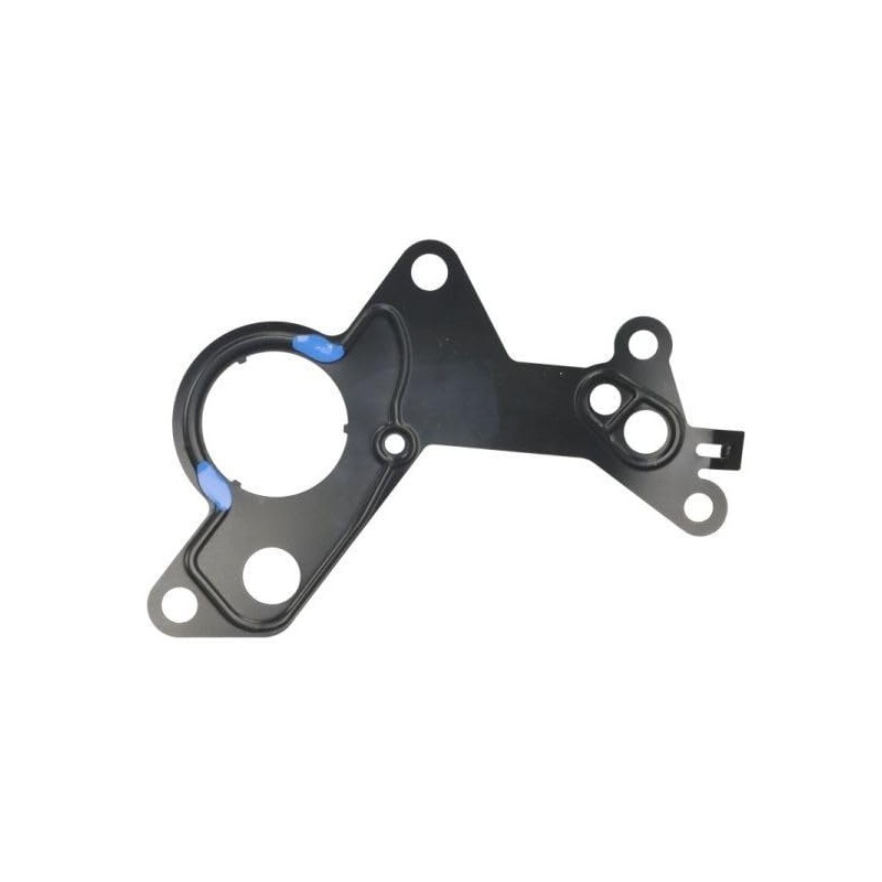 LCC TR1415 Kit riparazione Pompa a depressione (Sistema frenante)
