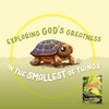 Magnified Devotional: Exploring God's Greatness in the Smallest of Things