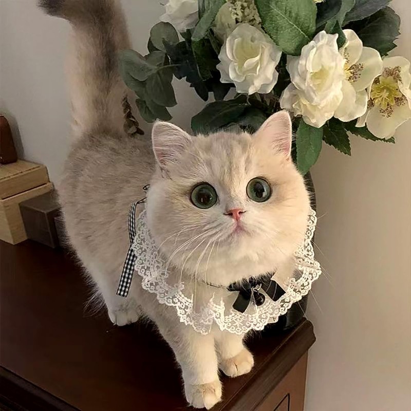 TCYYNEK Cat Collar, Dog Collar, Ribbon, Cute Collar, Cat Shape,