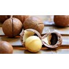 Barefoot Venus Loción Corporal De Nuez De Macadamia Eco-Refill 250
