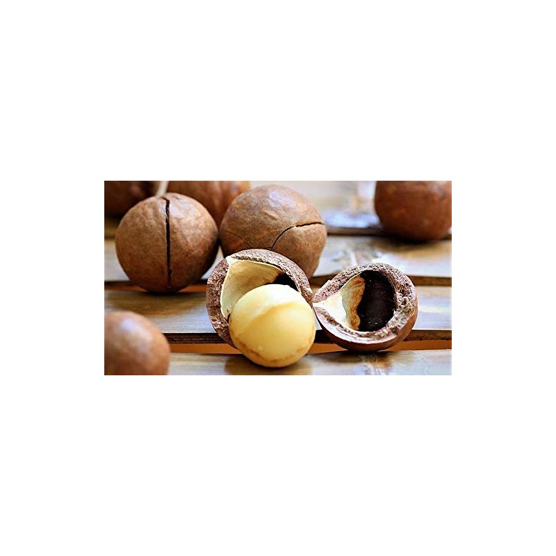 Barefoot Venus Loción Corporal De Nuez De Macadamia Eco-Refill 250