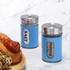 Salt and Pepper Shakers Stainless Steel and Glass Set with