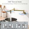 Pot Filler Faucet Wall Mount - 3 Spray Modes, Double