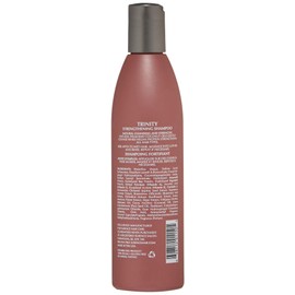 Surface Trinity - Champú con bloqueo de color, 284 ml