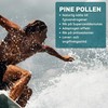 Herbs by Sonja Pine Pollen Capsules - 500 mg |