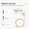 Brlyeeanze 120630-01 Pilot ODS Assembly for Vent Free Natural Gas