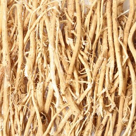 Domestic astragalus 500g whole astragalus astragalus tea / 국내산 황기 500g 통황기 황기차