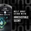Febreze Unstopables Spring Wax Melts (8 Melts, 3 Oz)