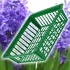 KADAX Plant Basket for Flower Bulbs, Plastic Propagation Basket, Propagation