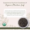Starwest Botanicals Organic Plantain Leaf - Natural Loose Leaf Herbal