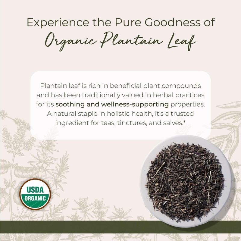 Starwest Botanicals Organic Plantain Leaf - Natural Loose Leaf Herbal