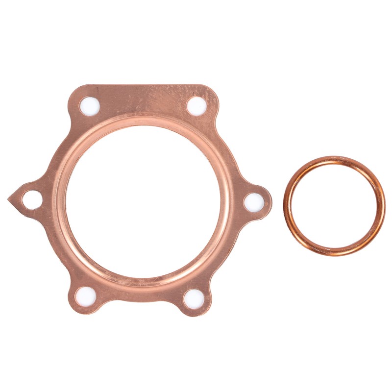 Complete Engine Gasket Set with Oil Seals Fit for Yamaha