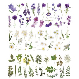 TPZORJX Pack of 120 Transparent Scrapbooking Stickers, PET Flower Stickers, Plant Stickers, Flower Stickers for Scrapbook, Photo Album, Scrapbook, Laptops, Crafts (Lavender)