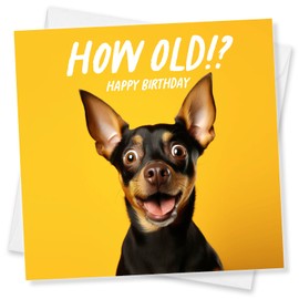 Punkcards - Birthday Card Dog Lovers, Dachshund Dog Birthday Card, Birthday Cards for Men (Tangerine)