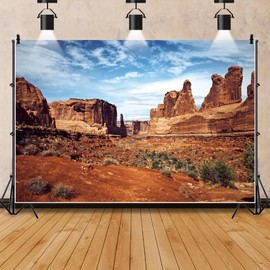 Leowefowa 10x8ft Desert Mountain Photography Backdrop Nature Scenery Canyon Background Blue Sky Cactues Wilderness Mountain Hiking Outdoor Camping Party Banner Decor Studio Prop