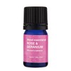 Daily Delight Essential Oil Set, 0.1 fl oz (3 ml)