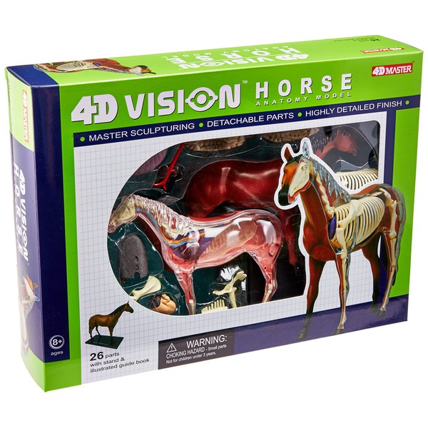 Tedco 4D Vision Horse Model