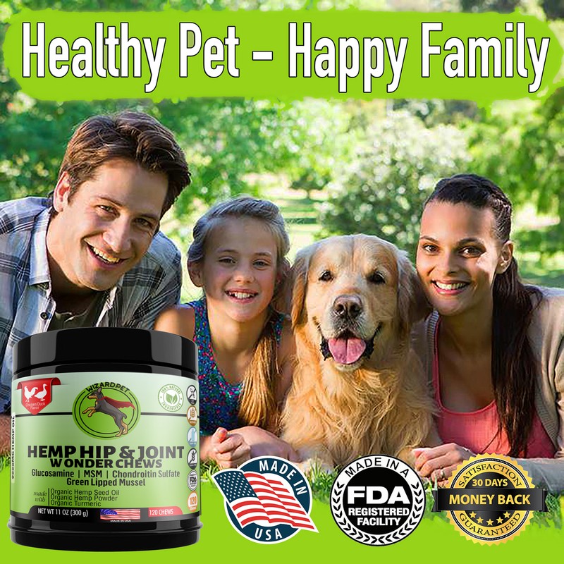 WIZARDPET Hemp Hip & Joint Supplement for Dogs Mobility Glucosamine