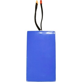 Massimo E13/E16 350W Battery