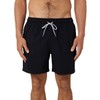 Rip Curl Men's Daily Volley Swimming Trunks Black M, black