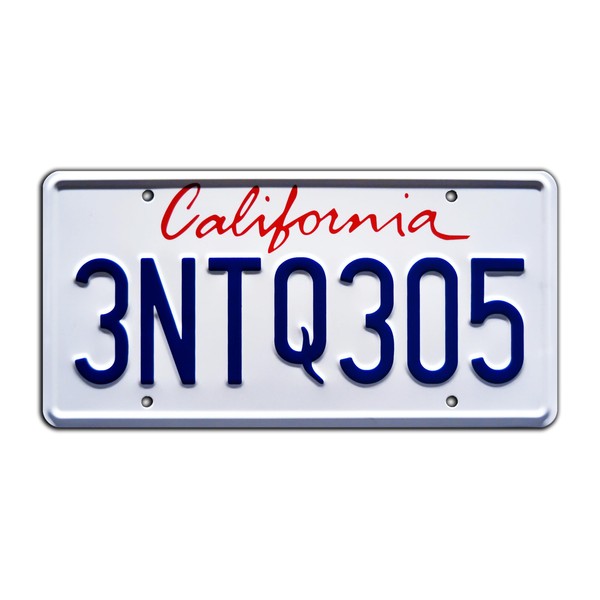 The Fast and the Furious | 3NTQ305 | Stamped License Plate