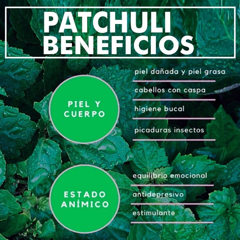 4 Frascos Aceite Esencial Pachulí 15 Ml 100% Puro Orgánico