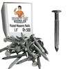 1.5” – Fluted Hardened Concrete Masonry Nails for Cinder Block,