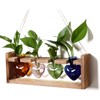 Kingbuy Replacement Heart Shaped Glass Vase Without Side-Hole - 2