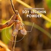 SOYA Lecithin Powder 250g – De-Oiled 97% Essential Fat –