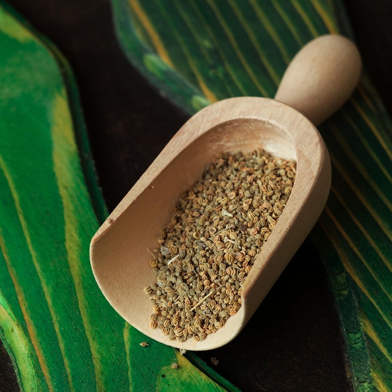 GranAroma Whole Celery Seeds, 8 oz, Sauces & Dry Rubs,