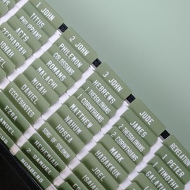 UPAFEXXI-Laminated Bible Tabs, Bible Tabs for Women and Men, Reposition Large Print Stickers, Easy to Read and Apply, 80Chapters Labels for Easy Navigation(Green)
