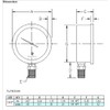 2-1/2" All Stainless Steel Oil Filled Pressure Gauge - 1/4"