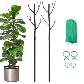Estacas de soporte para plantas de interior, enrejado para plantas en maceta de casa, flores, palos de soporte Monstera con clips de orquídea, lazos giratorios (paquete de 2 marrones)