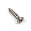 Hinge Outlet Screws for Hinges - Satin Nickel - 9