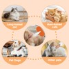 2025 Cat Steam Brush,4 In 1 Cat and Dog Anti-Static