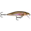 Rapala X-Rap CountDown Lure with Two No. 6 Hooks, 0.9-1.5