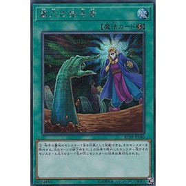 Yu-Gi-Oh! RC03-JP040 Gravehole Nominee (Secret Rare Japanese Version) Rarity Collection - Premium Gold Edition