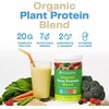 Amazing Grass Organic Plant Protein - NO SUGAR - 20