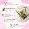 Organic Ready to Spray Air Plant Food - Fertilizer Mist