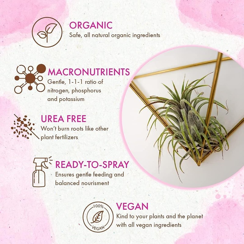 Organic Ready to Spray Air Plant Food - Fertilizer Mist
