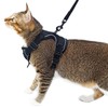 pangdi Cat Harness and Leash Set Escape Proof Tactical Extra