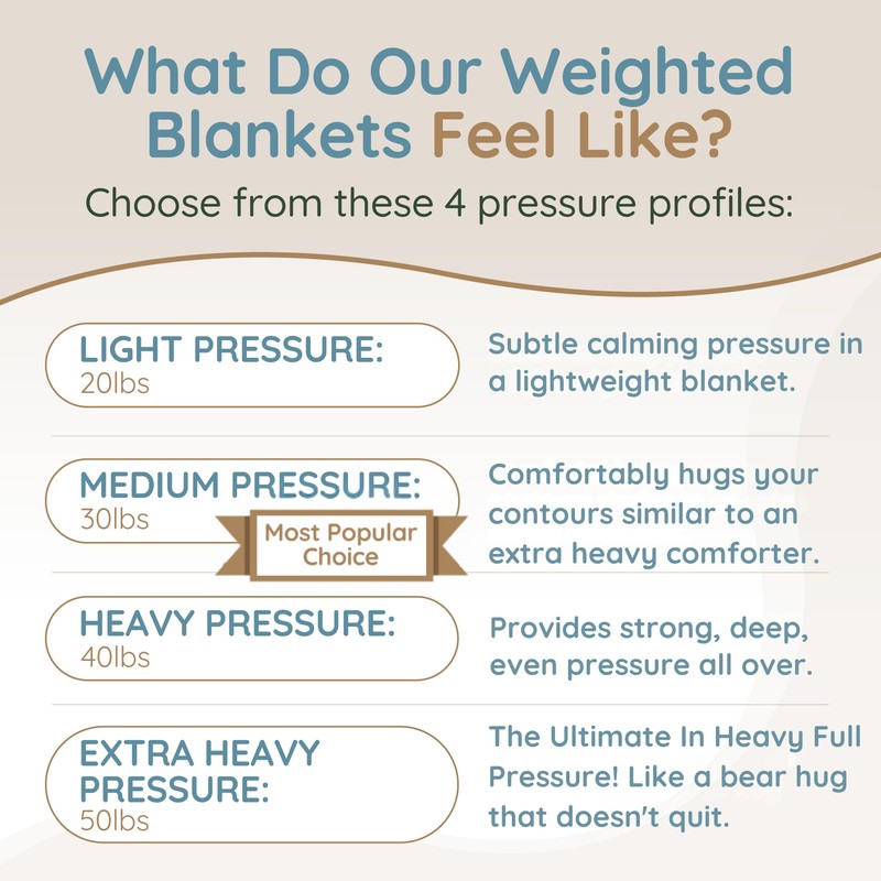 HomeSmart Products 40lbs Weighted Blanket Queen Size