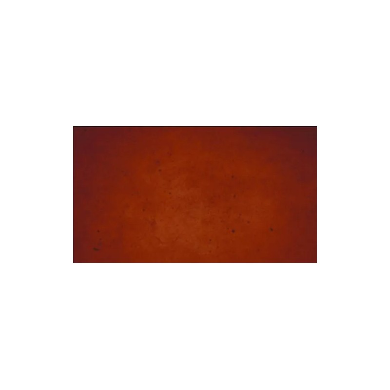 Concrete Resurrection Fast Drying Concrete Stain-Professi